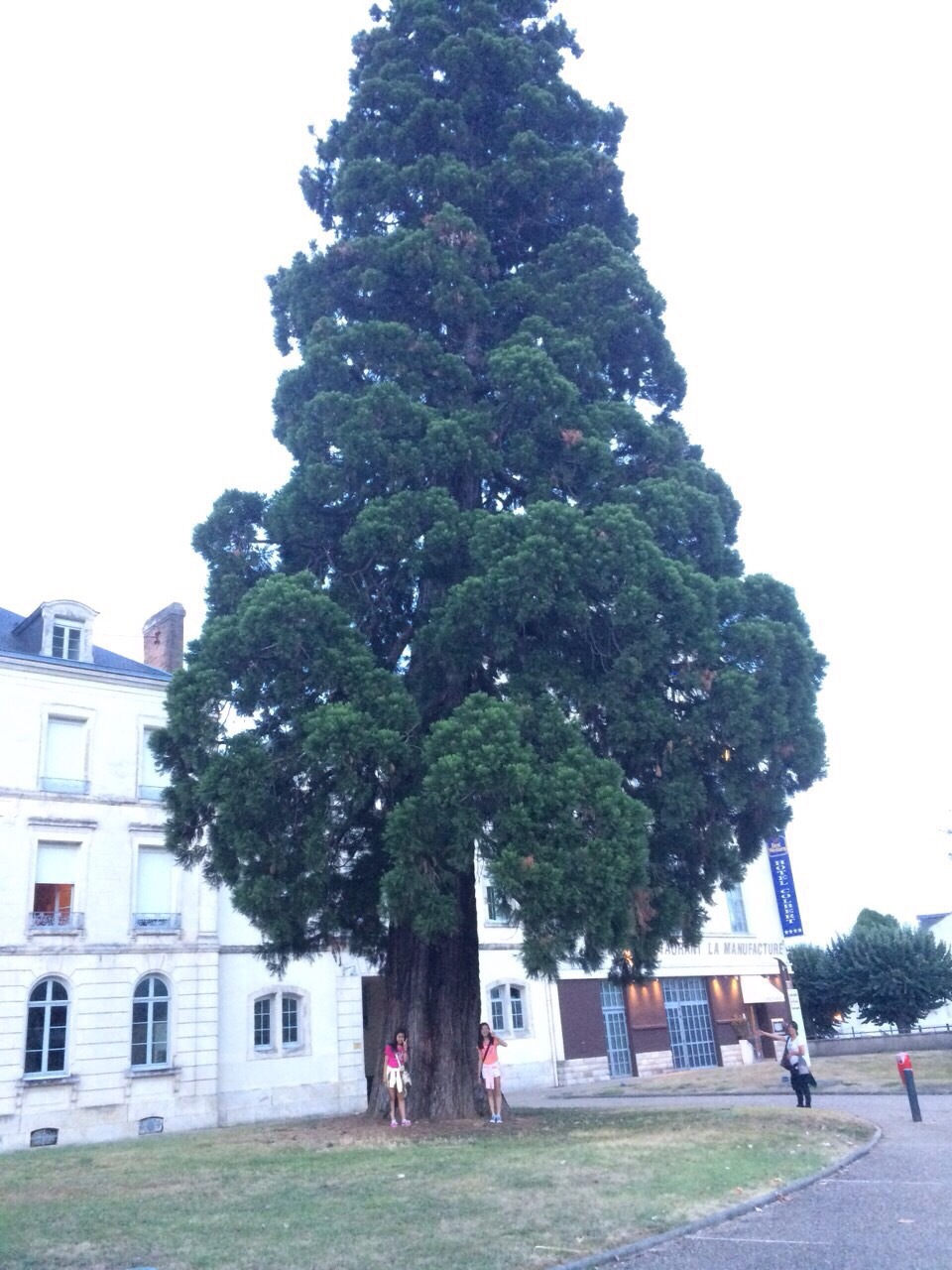 莉央のフランス日記